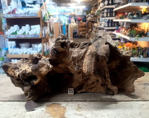 Derwen oak bogwood 53cm - oak,