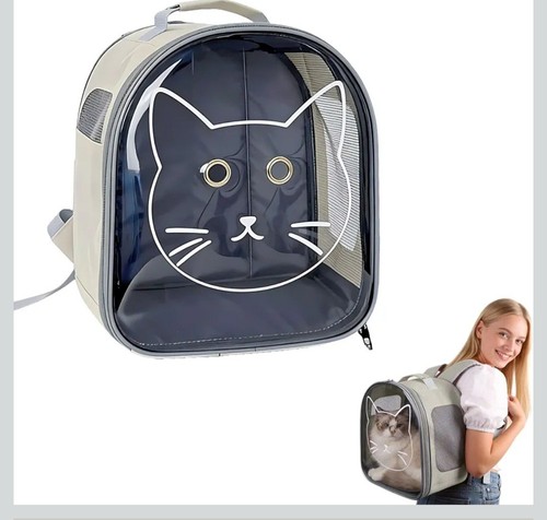Small cat back - cat, pack