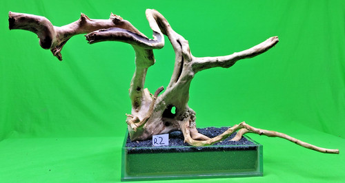 Red moor wood - wood, aquarium