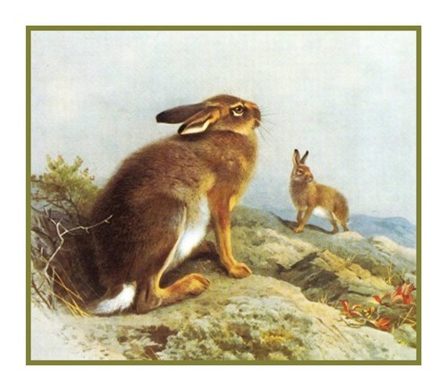 Naturalist archibald thorburn - naturalist,