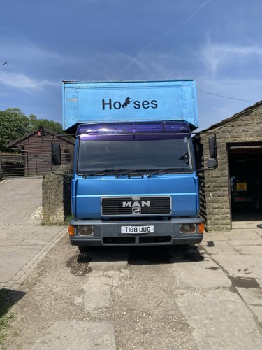 Man ton 1999 horse - man,