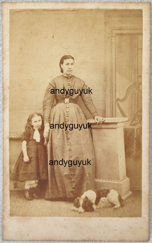 Cdv lady cocker spaniel - lady, by