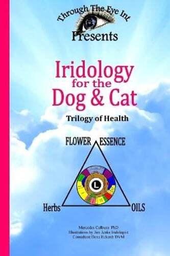 Iridology for the dog - iridology,