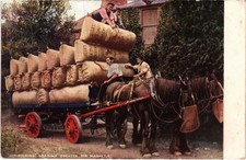 PC HOP-PICKING LOADING POCKETS FOR MARKET KENT ENGLAND VINTAGE POSTCARD (u12580)