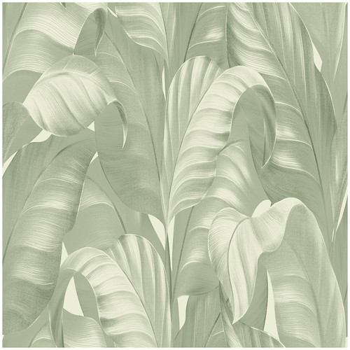 Sumatra palm wallpaper sage - sumatra,