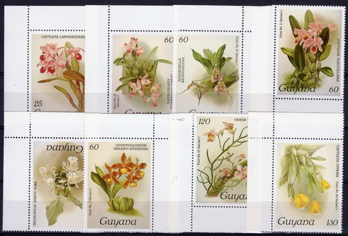 Guyana 1985 1518 1533 - guyana,