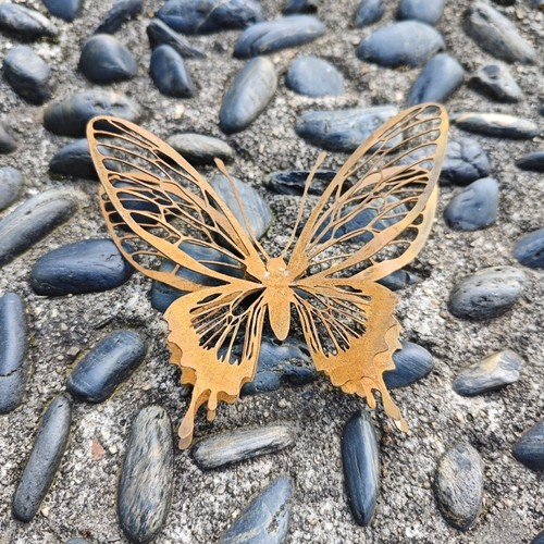 Wall art metal butterfly - metal, open