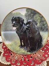 Franklin Mint Sporting