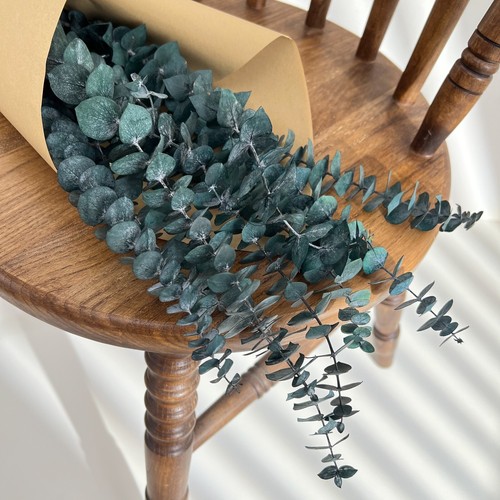 Real dried flowers eucalyptus