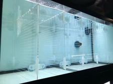 RA Aquarium Divider Kit