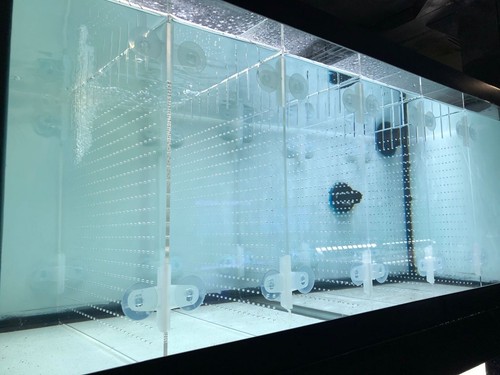 Aquarium divider kit - divider,