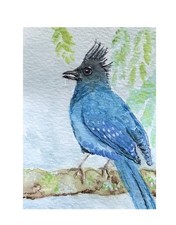 Aceo By Kenna Bird Painting