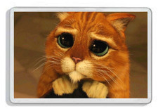 Puss In Boots (Shrek) Acrylic