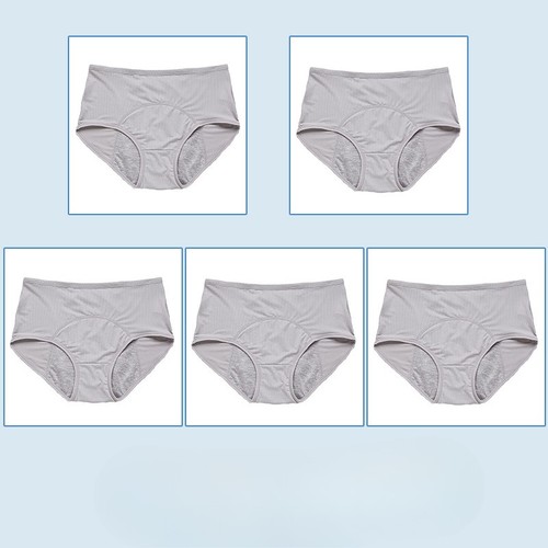 5pc menstrual period underwear - 5pc,
