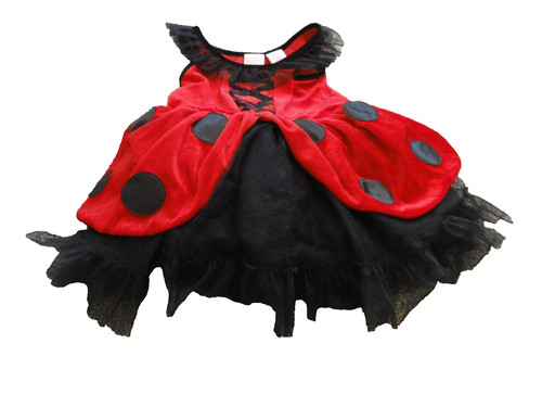 Girls red black ladybug - &,