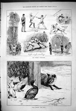 Old 1880 German Gymnasium Wrestling Pole-Jumping Athletics Fox Ducks Victorian