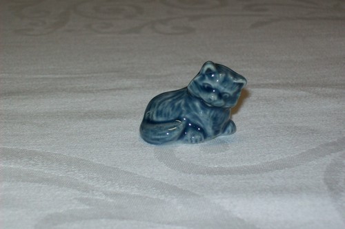 Wade persian blue kitten - persian,
