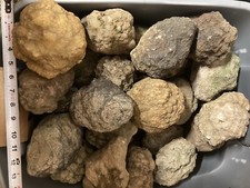 8 Geode Rocks, UNBROKEN, 4+”