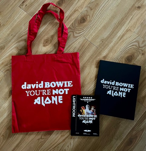 David bowie you not alone - david,