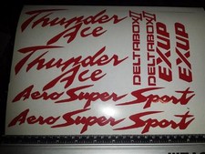 Thunderace decal sticker - thunderace, decal/