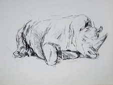 Rare Artists Daler Sketch Book 18 Pages Pencil Sketches Chester Zoo Wild Life