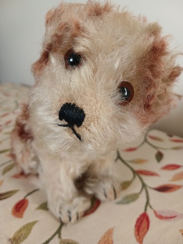Original 1950 steiff - original, '