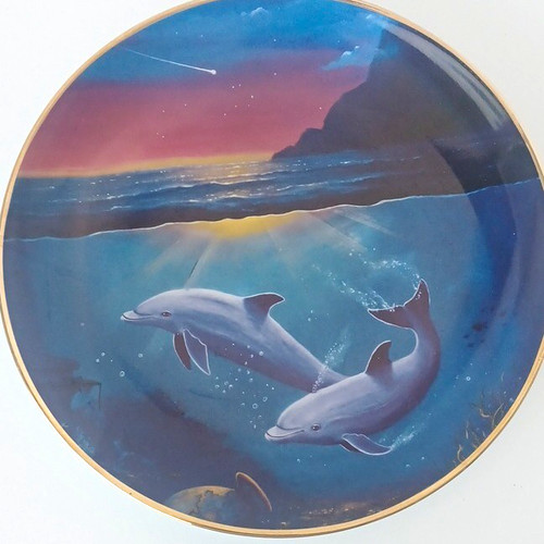 Decorative collector plate - collector,