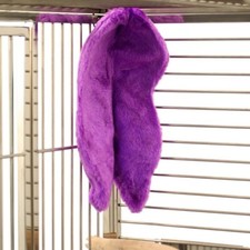 Purple Parrot Cozy Corner