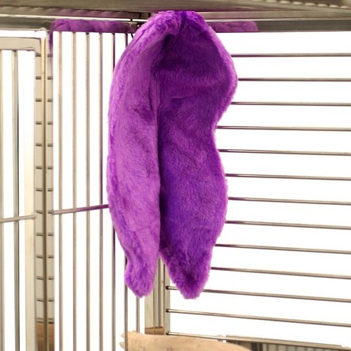 Purple parrot cozy - purple,