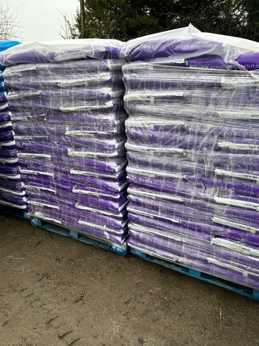 Garden compost plants - garden, &