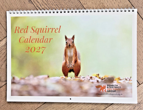 Red squirrel calendar 2027 - squirrel,