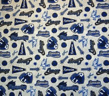 Harry Potter Ravenclaw