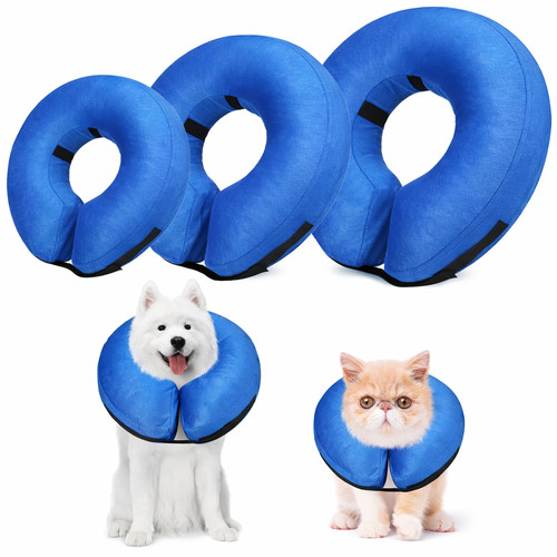 Pet dog cat - cat, inflatable
