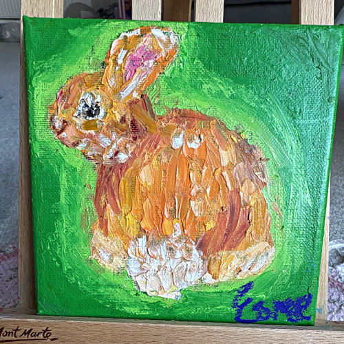 Hello bunny rabbit - “oh, hello-bunny"