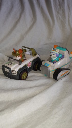 Paw patrol pup everest - paw,