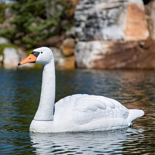 Pond float swan decoy koi - float, fish