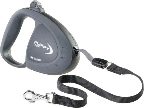 Large retractable dog - dog, lead