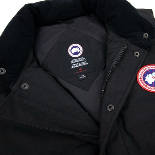 Canada goose arctic - canada,