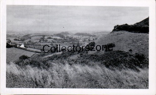 1950 eype downs bridport - 1950,