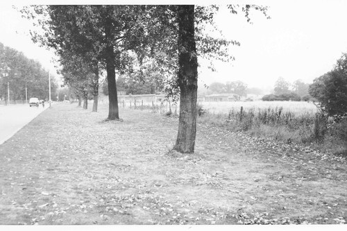 Photo 6x4 proposed station - -,