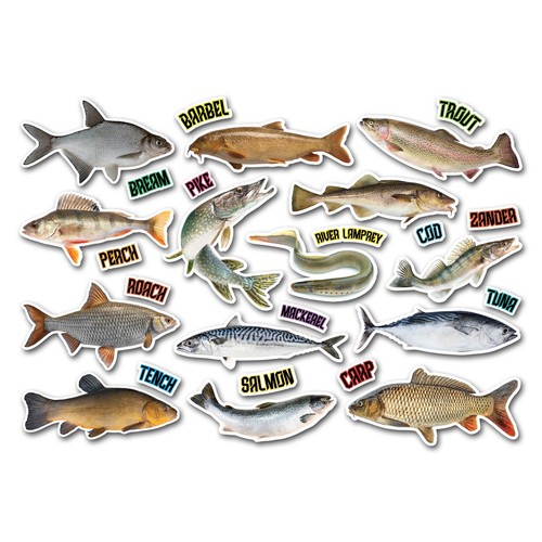 Sticker sheet fish vinyl - fish,