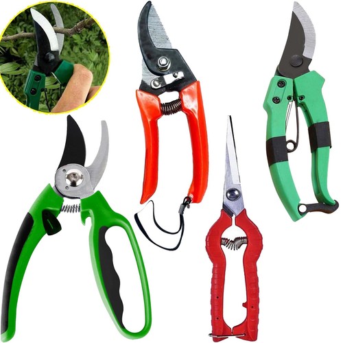 Pruning shears strong - shears, carbon