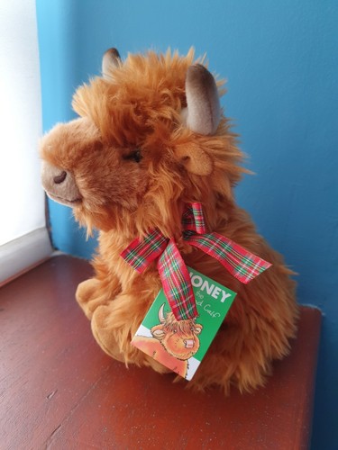 Honey the highland - highland, calf
