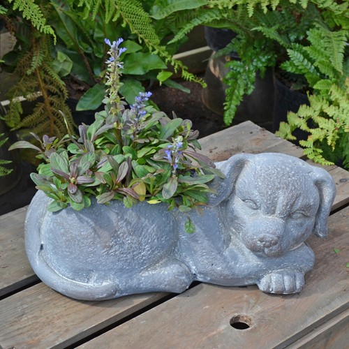 Unusual dog planter in - unusual, "dog