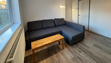 IKEA FRIHETEN Corner sofa-bed
