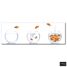 Animals Goldfish Bowls   BOX