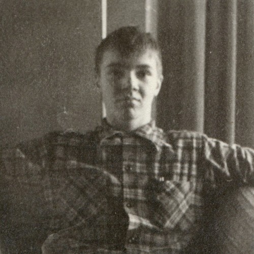 C1950s teenage boy plaid - teenage,