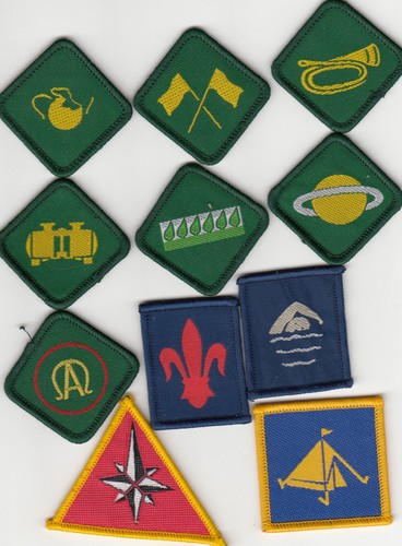 Boy scout badges ext - boy,