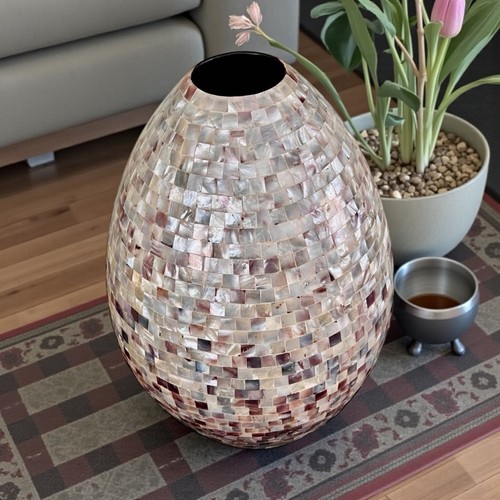 Rare beautiful shell - rare,