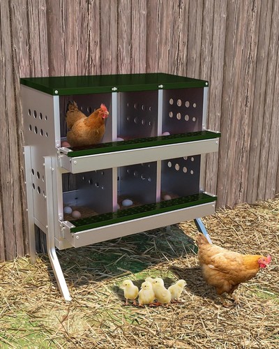 Tier holes chicken - 6,